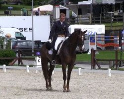 dressage horse Four Seasons 19 (Westphalian, 2004, from Fürst Piccolo)