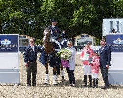 dressage horse Lollipop 126 (Hanoverian, 2004, from Lord Sinclair I)