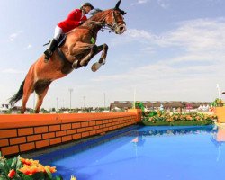 jumper Adonis (KWPN (Royal Dutch Sporthorse), 2005, from Lupicor)