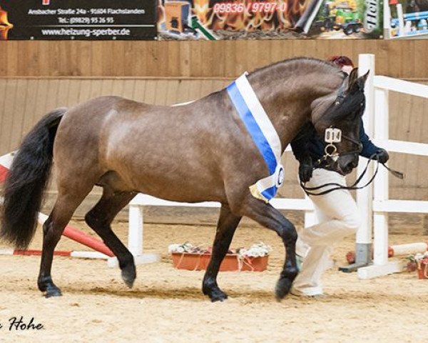 stallion CK Totally Tucker (Mustang, 2007, from Hardluck)