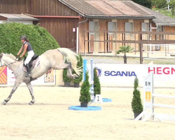 Pferdesporttage Galgenen 2018