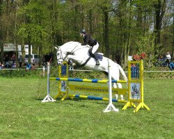 Springpferd Leutnant E (Hannoveraner, 2004, von Landclassic)