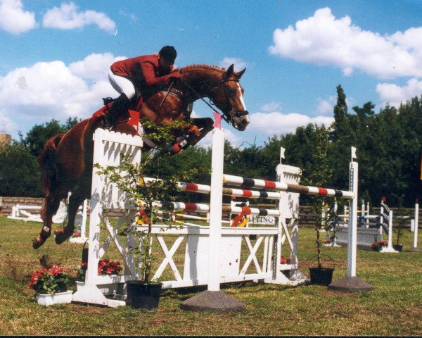 stallion Zaandam (Hanoverian, 1989, from Zeus)