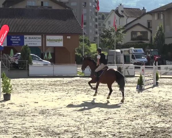 Schwyzer Pferdesporttage 2018