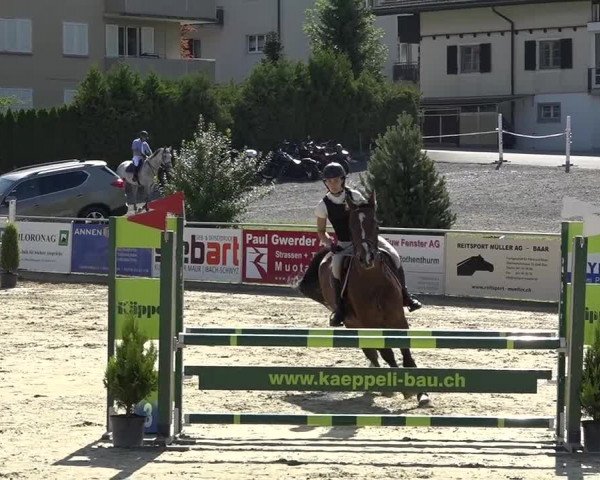 Schwyzer Pferdesporttage 2018
