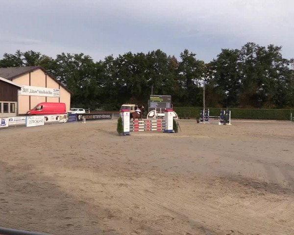 Reitturnier Olfen-Vinnum 2018