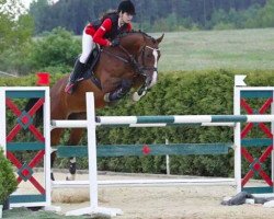 Springpferd Aurena (KWPN (Niederländisches Warmblut), 2005, von Padinus)