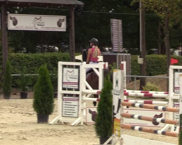 Reitturnier Olfen-Vinnum 2018