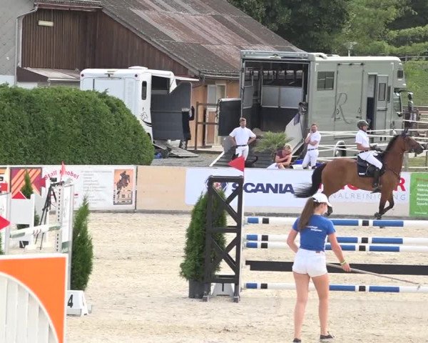 Pferdesporttage Galgenen 2018