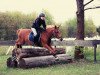 jumper Singita 2 (German Riding Pony, 2007, from Nalet Stern ox)