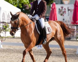 broodmare Charlett (German Riding Pony, 1999, from Champagner W)