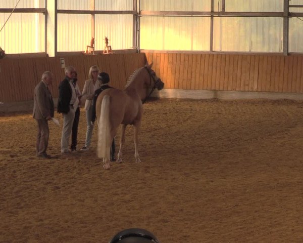 Reitturnier Herbern 2018