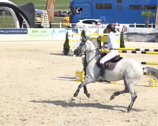 Pferdesporttage Galgenen 2018