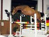 broodmare Special In (Oldenburg, 2008, from Check In 2)