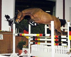 broodmare Special In (Oldenburg, 2008, from Check In 2)