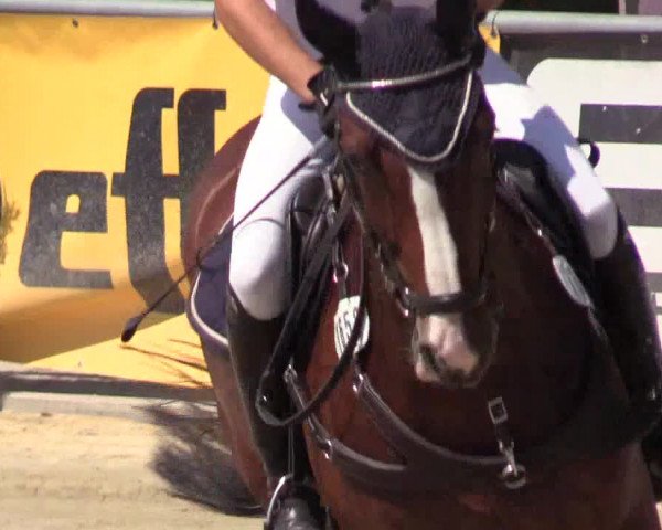 Reitturnier Olfen-Vinnum 2018