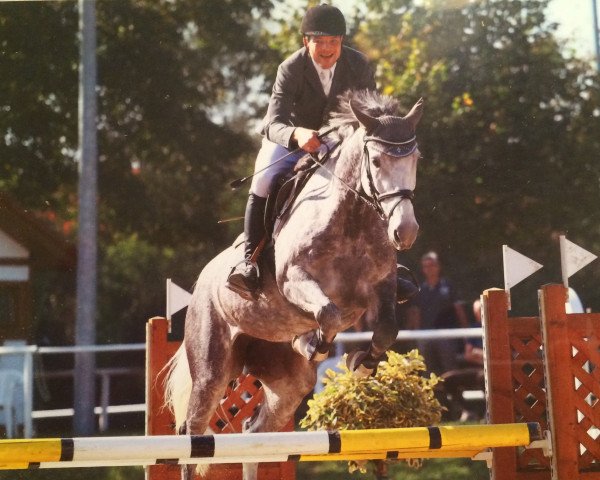 jumper Smilla F (Hanoverian, 2008, from Salito)