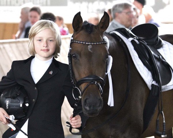 dressage horse Miss Deluxe RR (German Riding Pony, 2012, from FS Champion de Luxe)