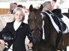 Dressurpferd Miss Deluxe RR (Deutsches Reitpony, 2012, von FS Champion de Luxe)