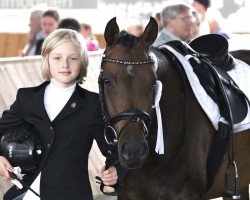 dressage horse Miss Deluxe RR (Deutsches Reitpony, 2012, from FS Champion de Luxe)