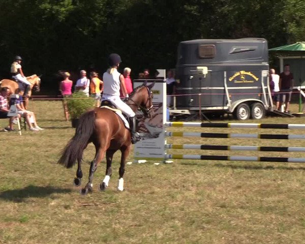 Reitturnier Sollerup 2018