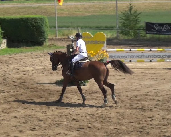 Reitturnier Neuss-Uedesheim 2018