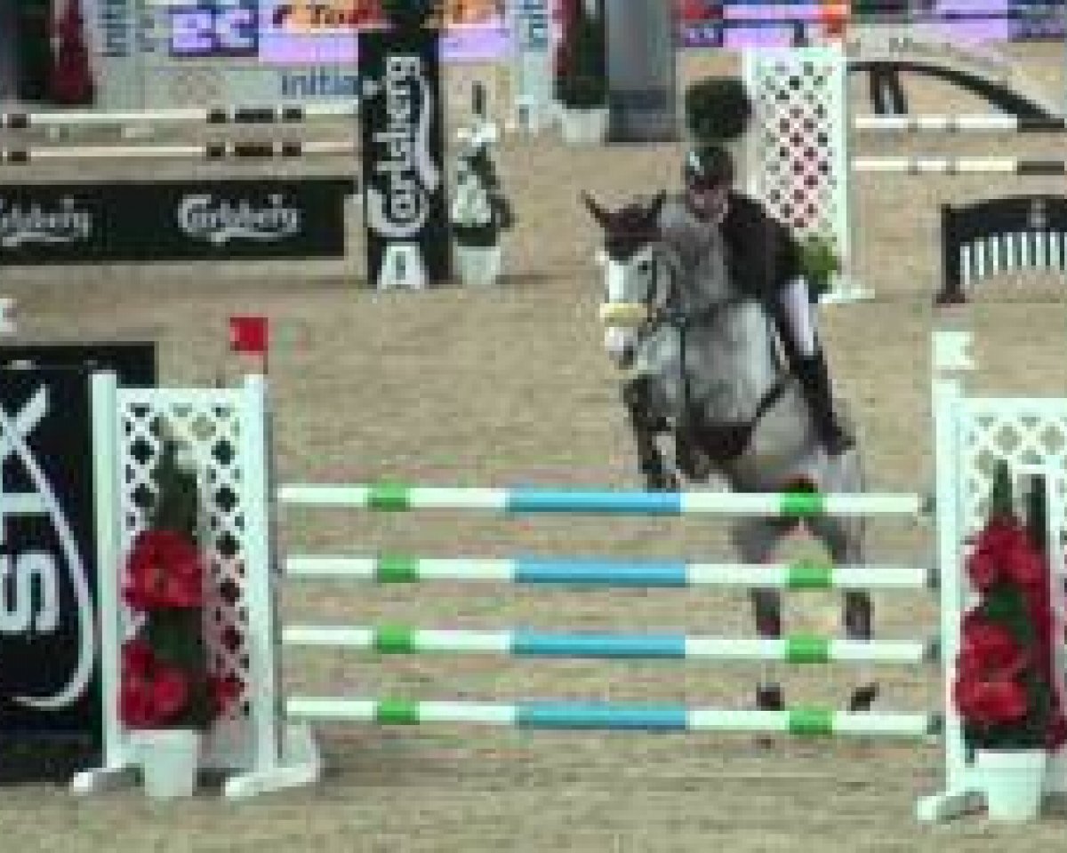 jumper Quino du Ry (Oldenburg show jumper, 2006, from Quidam de Revel)