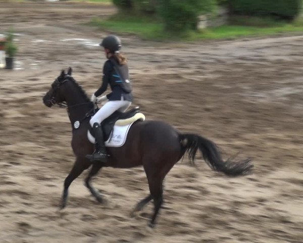 Reitturnier Neuss-Uedesheim 2018