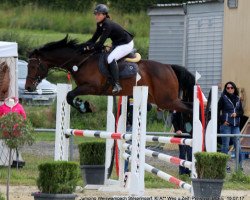 jumper Cosmo VJ (KWPN (Royal Dutch Sporthorse), 2011, from J'taime flamenco)