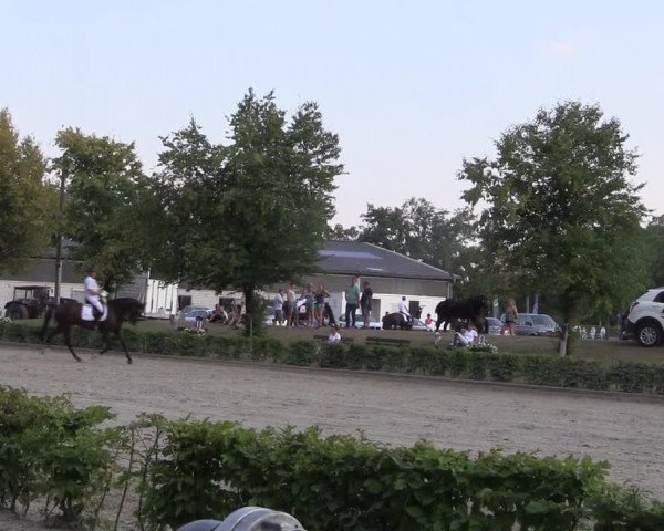 Reitturnier Olfen-Vinnum 2018
