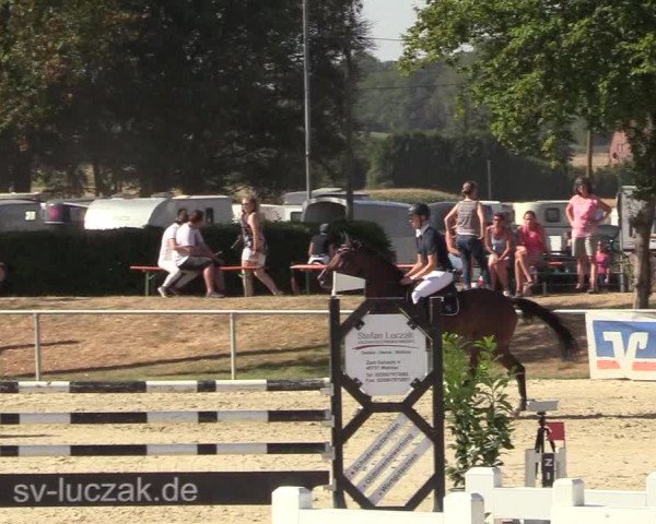 Reitturnier Olfen-Vinnum 2018