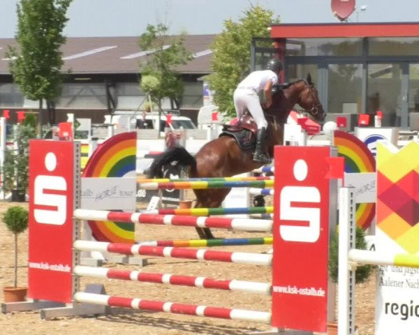 Horse Summer Meeting Jagstzell 2018