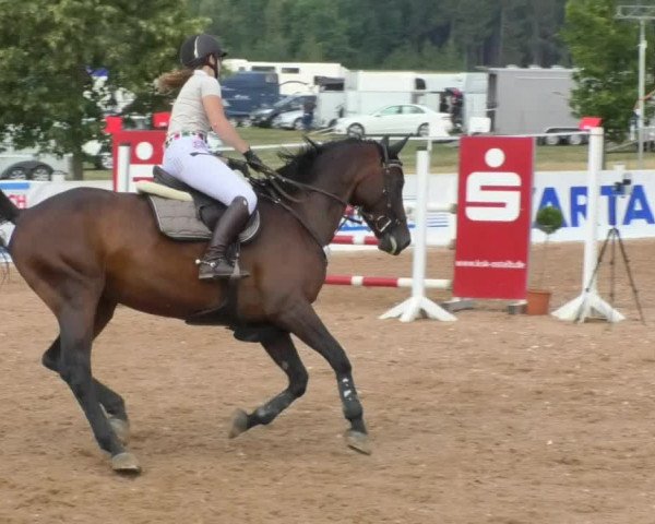 Horse Summer Meeting Jagstzell 2018