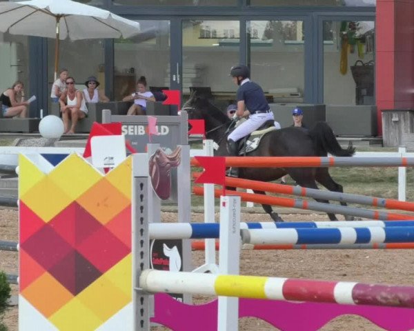 Horse Summer Meeting Jagstzell 2018