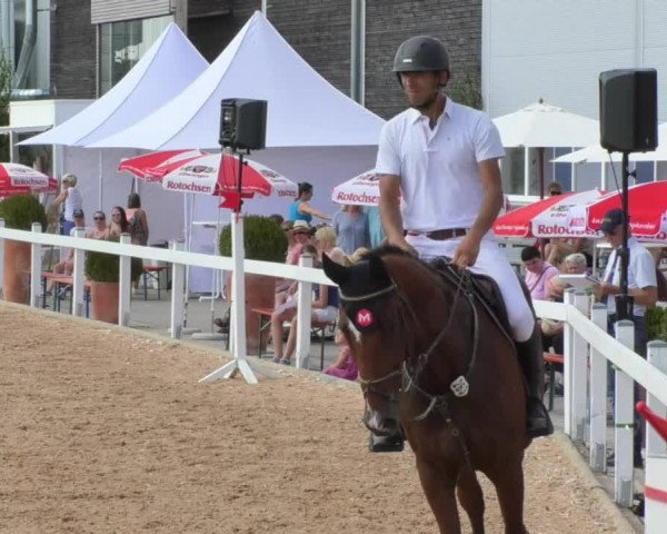 Horse Summer Meeting Jagstzell 2018