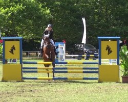 jumper Coland's Little (German Sport Horse, 2011, from Coland)