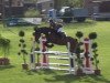 jumper Limited Oak (German Sport Horse, 2011, from Levistano)