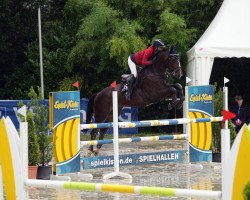 jumper Montpellier de Muze (Belgium Sporthorse, 2012, from Fantomas de Muze)