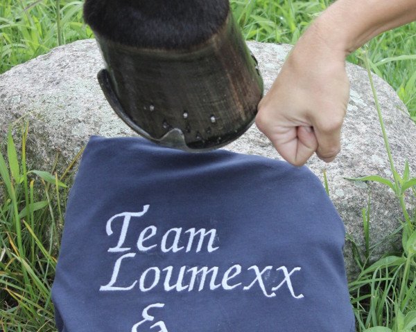Pferd Loumexx (Oldenburger, 2008, von Laureano)