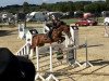 broodmare Chase me Charlie (KWPN (Royal Dutch Sporthorse), 2007, from Oklund)