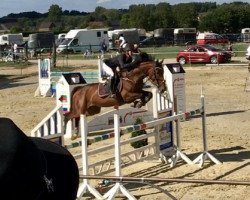 broodmare Chase me Charlie (KWPN (Royal Dutch Sporthorse), 2007, from Oklund)