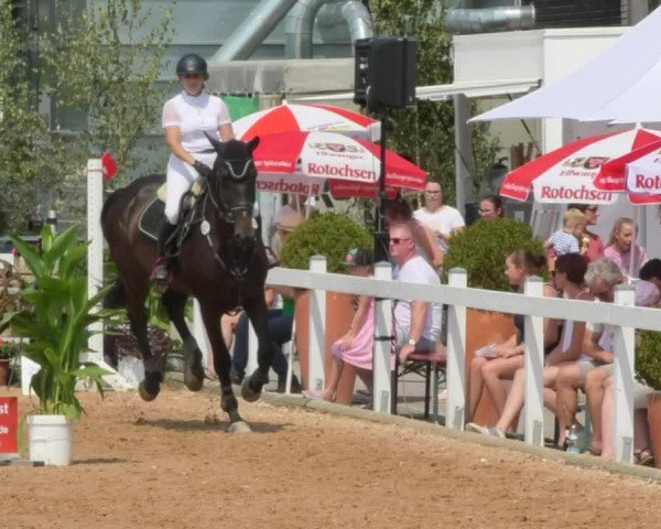 Horse Summer Meeting Jagstzell 2018