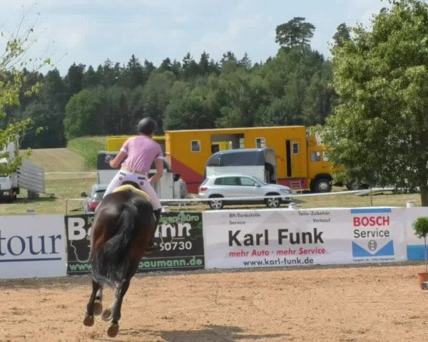 Horse Summer Meeting Jagstzell 2018