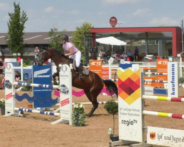 Horse Summer Meeting Jagstzell 2018