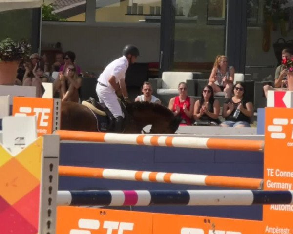 Horse Summer Meeting Jagstzell 2018
