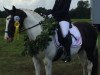 dressage horse Laska (Lewitzer, 2000)