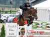 broodmare London's La Vie (Oldenburg show jumper, 2010, from London)