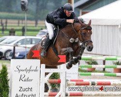 broodmare London's La Vie (Oldenburg show jumper, 2010, from London)