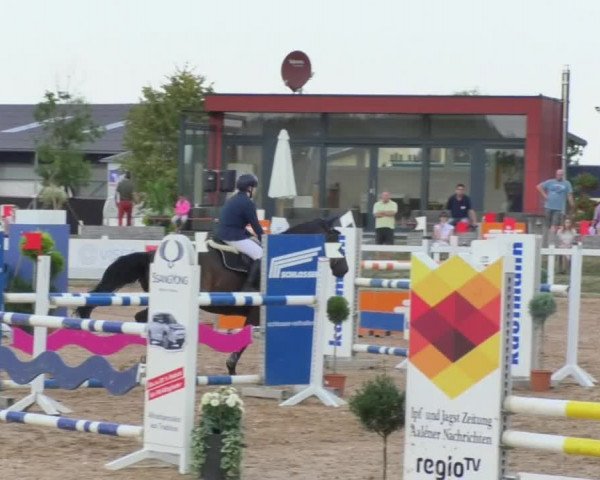 Horse Summer Meeting Jagstzell 2018