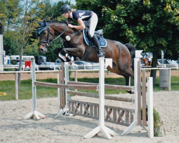 broodmare Cappuccino Girl (Hanoverian, 2013, from Cassillias)